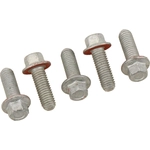 Order ACDELCO - 12556127 - Crankshaft Bolt For Your Vehicle