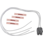 Order Cruise Control Connector by BLUE STREAK (HYGRADE MOTOR) - S3142 For Your Vehicle