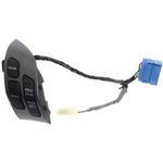 Order BLUE STREAK (HYGRADE MOTOR) - CCA1008 - Cruise Control Switch For Your Vehicle