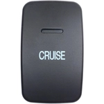 Order BLUE STREAK (HYGRADE MOTOR) - CCA1012 - Cruise Control Switch For Your Vehicle