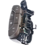 Order Cruise Control Switch by BLUE STREAK (HYGRADE MOTOR) - CCA1036 For Your Vehicle