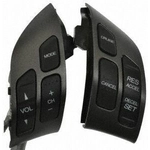 Order Commutateur de régulateur de vitesse de BLUE STREAK (HYGRADE MOTOR) - CCA1260 For Your Vehicle
