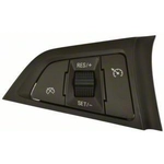 Order Cruise Control Switch by BLUE STREAK (HYGRADE MOTOR) - CCA1369 For Your Vehicle