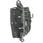 Order STANDARD - PRO SERIES - DS2156 - Cruise Control Switch For Your Vehicle