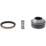 Order DANA SPICER - 10018440 - Double Cardan CV Ball Seat Repair Kit For Your Vehicle