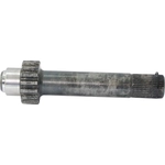Order CV Intermediate Shaft by GSP NORTH AMERICA - NEX12013 For Your Vehicle