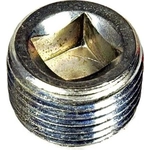 Order Cylinder Head End Plug by DORMAN - 090-019 For Your Vehicle