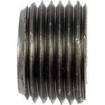 Order Cylinder Head End Plug by DORMAN (OE SOLUTIONS) - 090092 For Your Vehicle