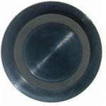 Order Cylinder Head End Plug by FEL-PRO - TCS45833 For Your Vehicle