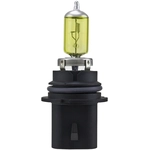 Order HELLA - H71070622 - Headlight Bulb For Your Vehicle