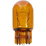 Order Daytime Running Light by WAGNER - BP7443NA For Your Vehicle