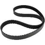 Order CONTINENTAL - 15561 - Accessory Drive Belt - Automotive V-Belt For Your Vehicle