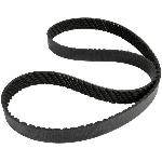 Order Air Conditioning And Power Steering Belt by CONTINENTAL - 15595 For Your Vehicle