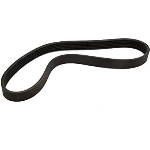 Order CONTINENTAL - 15506 - Accessory Drive Belt - Automotive V-Belt For Your Vehicle