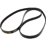 Order CONTINENTAL - 15461 - Accessory Drive Belt - Automotive V-Belt For Your Vehicle