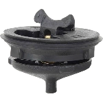 Order Fuel Cell Cap by HOLLEY - 241-228 For Your Vehicle