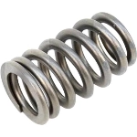 Order Intake Valve Spring (Pack of 8) by SEALED POWER - VS703 For Your Vehicle