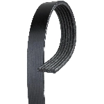 Order Power Steering And Water Pump Belt by CONTINENTAL - 13X670 For Your Vehicle