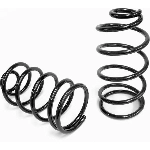 Order Rear Coil Springs by EIBACH - 9310.140 For Your Vehicle