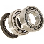 Order Rear Outer Bearing Set by NATIONAL BEARINGS - 32210 For Your Vehicle
