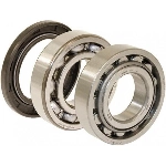 Order Ensemble de roulements ext�rieurs arri�re par NATIONAL BEARINGS - KB11786Y For Your Vehicle