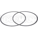 Order Diesel Particulate Filter Gasket by DORMAN (HD SOLUTIONS) - 674-9005 For Your Vehicle