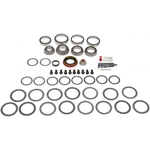 Order DORMAN (OE SOLUTIONS) - 797-101 - Ring And Pinion Master Bearing And Installation Kit For Your Vehicle