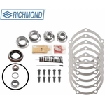 Purchase Differential Bearing Kit by RICHMOND - 83-1013-1