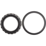 Order DANA SPICER - 707489X - Differential Bearing Kit For Your Vehicle