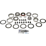 Order Differential Bearing Set by DORMAN (OE SOLUTIONS) - 697-028 For Your Vehicle