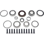 Order Differential Bearing Set by DORMAN (OE SOLUTIONS) - 697-111 For Your Vehicle