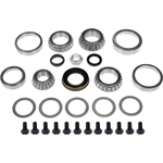 Order Differential Bearing Set by DORMAN (OE SOLUTIONS) - 697-116 For Your Vehicle