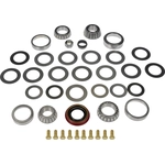 Order Differential Bearing Set by DORMAN (OE SOLUTIONS) - 697-119 For Your Vehicle