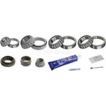 Order Differential Bearing Set by SKF - SDK307 For Your Vehicle