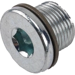 Order Differential Drain Plug by ACDELCO - 19256068 For Your Vehicle