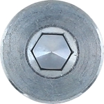 Order Differential Drain Plug by ELRING - DAS ORIGINAL - 587.140 For Your Vehicle