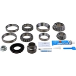 Order DANA SPICER - 10038952 - Axle Differential Bearing and Seal Kit For Your Vehicle