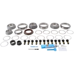 Order DANA SPICER - 10038965 - Differential Rebuild Kit For Your Vehicle