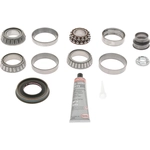 Order DANA SPICER - 10040451 - Differential Standard Bearing Kit For Your Vehicle