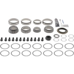 Order DANA SPICER - 10043645 - Rear Differential Master Overhaul Kit For Your Vehicle