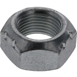 Order DANA SPICER - 30271 - Differential Drive Pinion Gear Nut For Your Vehicle