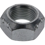 Order DANA SPICER - 30271 - Rear Differential Pinion Nut For Your Vehicle