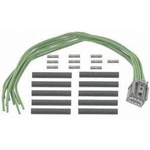 Order Connecteur réostat de BLUE STREAK (HYGRADE MOTOR) - S2046 For Your Vehicle