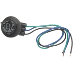 Order BWD AUTOMOTIVE - PT181 - Headlight Switch Connector For Your Vehicle