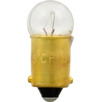 Order SYLVANIA - 53.TP - Bulb For Your Vehicle