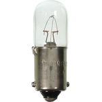 Order Indicateur de signal directionnel (paquet de 10) de WAGNER - 1816 For Your Vehicle
