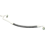 Order GLOBAL PARTS DISTRIBUTORS - 4811977 - Hose Discharge Line For Your Vehicle