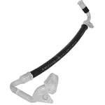 Order GLOBAL PARTS DISTRIBUTORS - 4812240 - Hose Discharge Line For Your Vehicle
