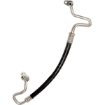 Order GLOBAL PARTS DISTRIBUTORS - 4812761 - Hose Discharge Line For Your Vehicle