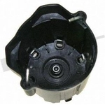 Order Distributor Cap by WALKER PRODUCTS - 925-1009 For Your Vehicle
